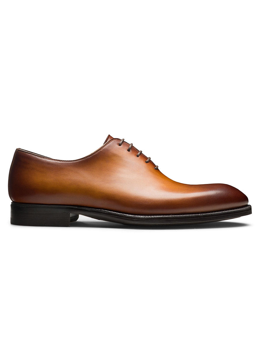 Magnanni Hawkins in Cuero derby dress shoe on a white background.