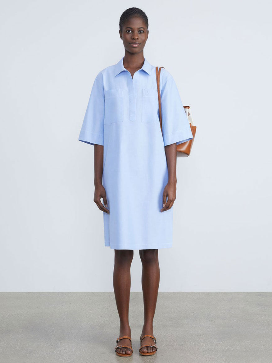 Buy Cotton Poplin Shirtdress in Hydrangea Dresses
